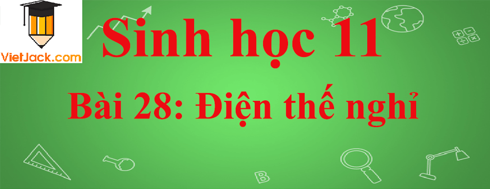 Sinh học lớp 11 Bài 28 ngắn nhất: Điện thế nghỉ