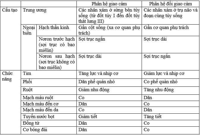 Giải bài tập Sinh học 8 | Trả lời câu hỏi Sinh 8