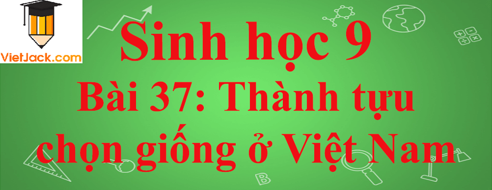 Sinh học lớp 9 Bài 37: Thành tựu chọn giống ở Việt Nam ngắn nhất