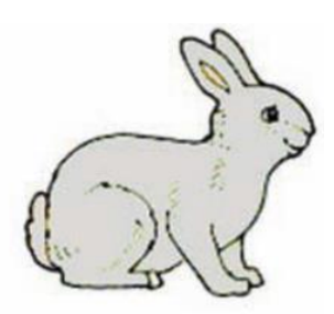 Bài thực hành 5 trang 34 SGK Tin học 4 | Giải bài tập Tin học lớp ... - Hãy học cách vẽ một con thỏ đáng yêu và đơn giản bằng cách sử dụng bút chì. Với những kỹ thuật vẽ chi tiết và dễ hiểu, bạn sẽ có thể tạo ra một bức tranh thỏ đáng yêu và đầy màu sắc.
