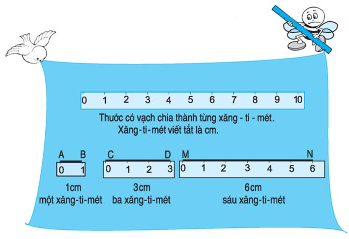 Toán lớp 1: Xăng-ti-mét. Đo độ dài (trang 119,120) | Hay nhất Giải bài tập Toán 1