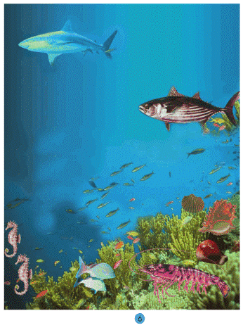 Tự nhiên và Xã hội lớp 2 Bài 29: Một số loài vật sống dưới nước | Hay nhất Giải bài tập Tự nhiên và Xã hội 2