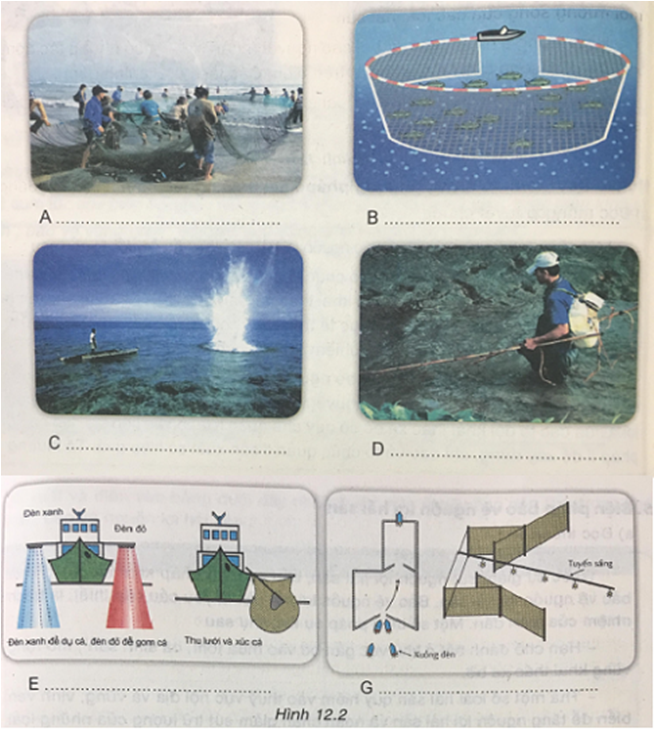 Công nghệ 7 VNEN Bài 12: Khai thác và bảo vệ nguồn lợi hải sản | Hay nhất Giải bài tập Công nghệ 7 VNEN