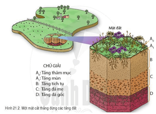 Câu hỏi 2 trang 176 Địa Lí lớp 6 Cánh diều