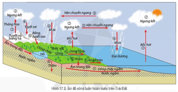 Câu hỏi trang 165 Địa Lí lớp 6 Cánh diều