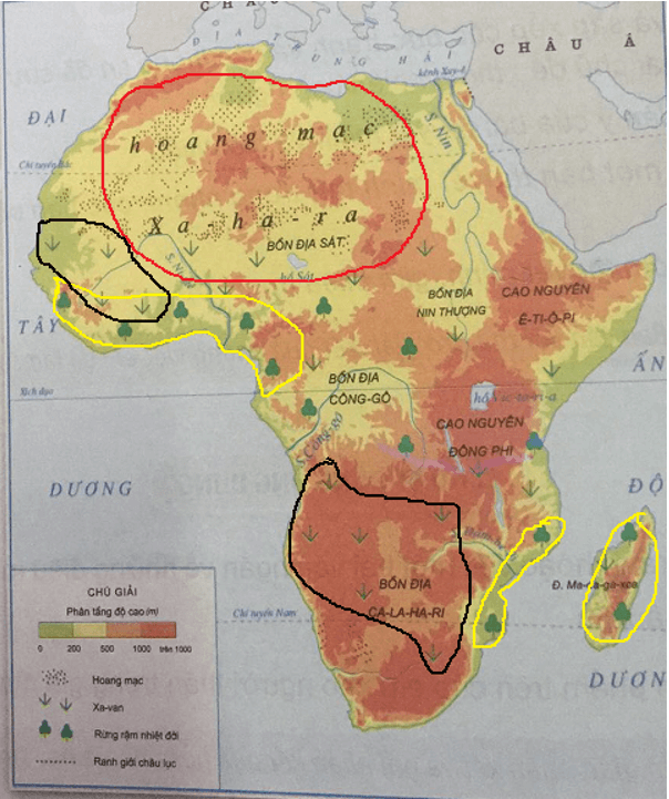Lịch Sử và Địa Lí 5 Bài 12: Châu Phi | Hay nhất Giải bài tập Lịch Sử và Địa Lí 5 VNEN
