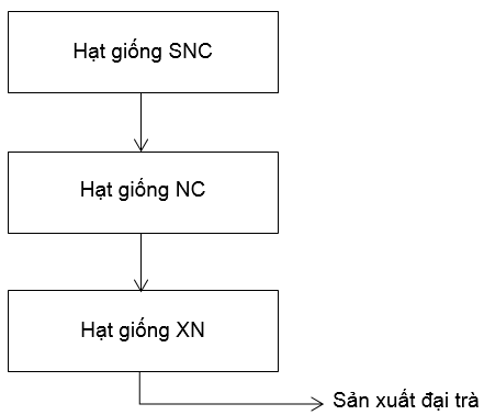 Bài 1 trang 6 SBT Công nghệ 10 | Giải sách bài tập Công nghệ 10 hay nhất tại VietJack