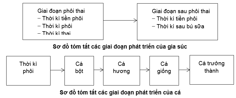 Bài 2 trang 24 SBT Công nghệ 10 | Giải sách bài tập Công nghệ 10 hay nhất tại VietJack