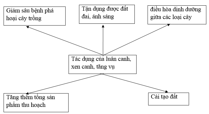  Bài 1 trang 29 SBT Công nghệ 7 | Giải sách bài tập Công nghệ lớp 7