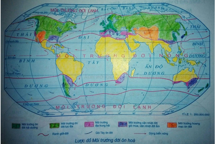Tập bản đồ địa lý lớp 7: Việc tập bản đồ địa lý lớp 7 không chỉ là một hoạt động học tập mà còn giúp các em phát triển tư duy phản biện và khả năng giải quyết vấn đề. Hiện nay, học sinh có thể sử dụng các công cụ trực tuyến để tập bản đồ, tìm hiểu thêm về địa lý và địa chất.