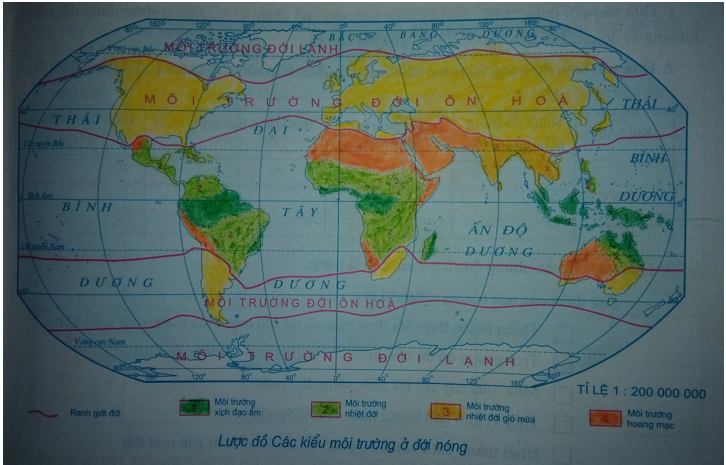 Hướng dẫn Tập bản đồ 7 bài 1 Dành cho học sinh lớp 7