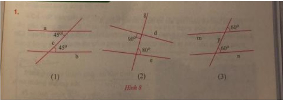Giải Toán 7 VNEN Bài 1: Hai đường thẳng vuông góc, hai đường thẳng song song | Hay nhất Giải bài tập Toán 7 VNEN