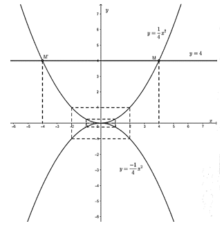 Cách Vẽ đồ thị y=1/4x^2 một cách dễ dàng và hiệu quả