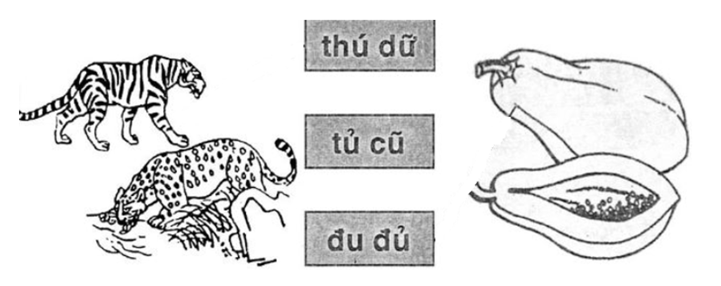 Vở bài tập Tiếng Việt lớp 1 Bài 17: u, ư | Hay nhất Giải VBT Tiếng Việt 1