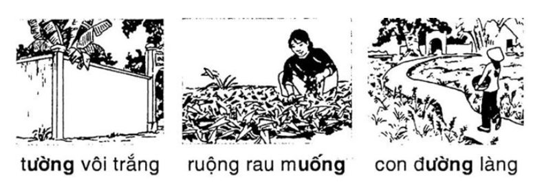 Vở bài tập Tiếng Việt lớp 1 Bài 56: uông, ương | Hay nhất Giải VBT Tiếng Việt 1