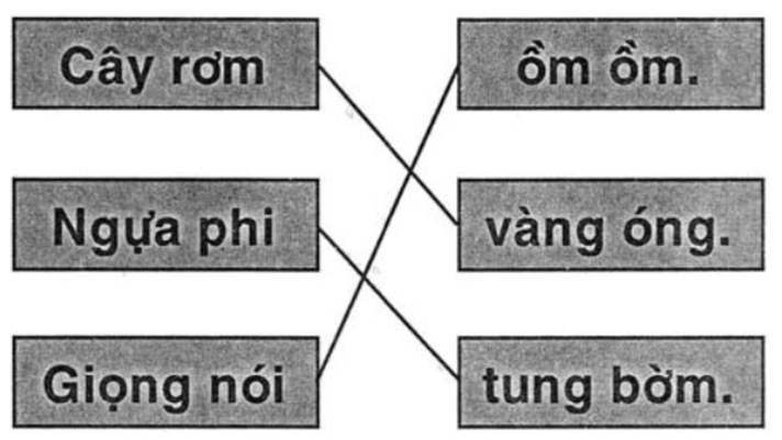 Vở bài tập Tiếng Việt lớp 1 Bài 62: ôm, ơm | Hay nhất Giải VBT Tiếng Việt 1