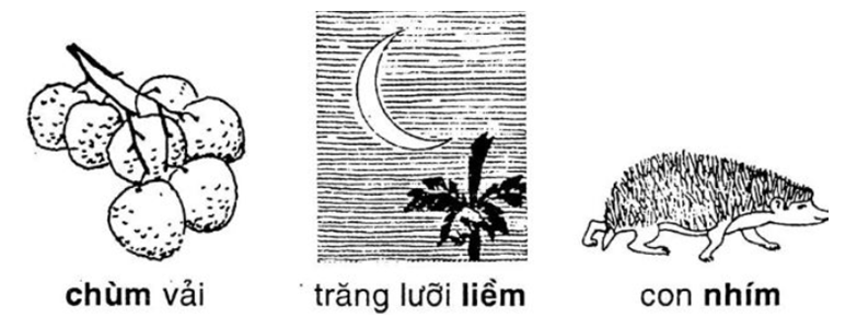 Vở bài tập Tiếng Việt lớp 1 Bài 67: Ôn tập | Hay nhất Giải VBT Tiếng Việt 1