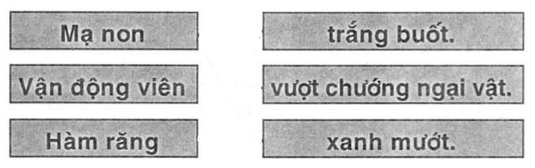 Vở bài tập Tiếng Việt lớp 1 Bài 74: uôt, ươt | Hay nhất Giải VBT Tiếng Việt 1