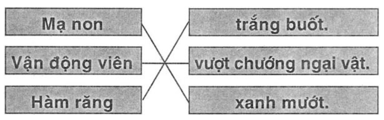 Vở bài tập Tiếng Việt lớp 1 Bài 74: uôt, ươt | Hay nhất Giải VBT Tiếng Việt 1