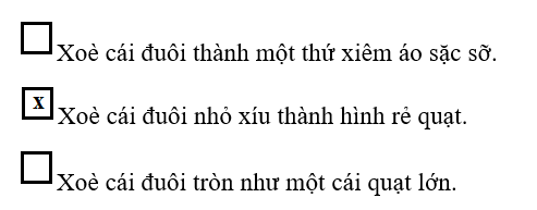 Vở bài tập Tiếng Việt lớp 1 Bài: Chú công | Hay nhất Giải VBT Tiếng Việt 1