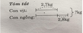 Giải vở bài tập Toán 5 | Giải VBT Toán 5