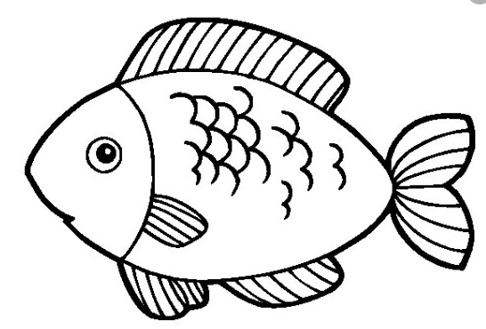 Vở bài tập Tự nhiên và Xã hội lớp 1 Bài 25: Con cá | Hay nhất Giải VBT Tự nhiên và Xã hội 1