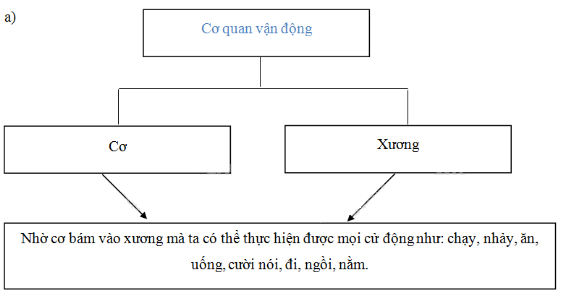 Vở bài tập Tự nhiên và Xã hội lớp 2 Bài 10: Ôn tập: Con người và sức khoẻ | Hay nhất Giải VBT Tự nhiên và Xã hội 2