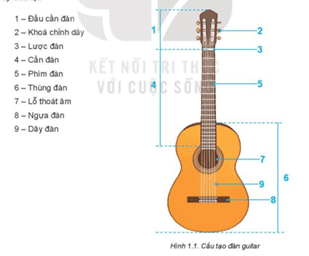 Giáo án Âm nhạc 10 Kết nối tri thức Bài 1: Giới thiệu đàn guitar và kĩ thuật bấm, gảy trên dây 5, dây 4