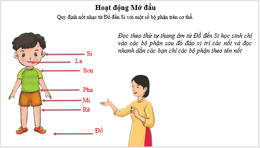 Giáo án điện tử Âm nhạc lớp 3 Kết nối tri thức Thường thức âm nhạc: Giới thiệu đàn vi-ô-lông (violon) | PPT Âm nhạc 3