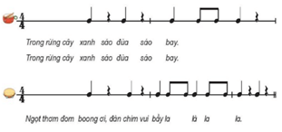 Giáo án Âm nhạc lớp 4 Kết nối tri thức Nhạc cụ: Thể hiện nhạc cụ gõ hoặc nhạc cụ giai điệu trang 15