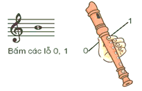 Giáo án Âm nhạc lớp 4 Kết nối tri thức Nhạc cụ: Thể hiện nhạc cụ gõ hoặc nhạc cụ giai điệu trang 32