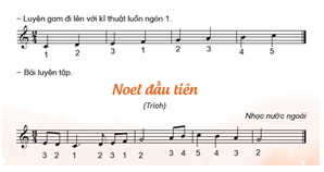 Giáo án Âm nhạc lớp 5 Kết nối tri thức Nhạc cụ: Nhạc cụ thể hiện tiết tấu và nhạc cụ thể hiện giai điệu trang 31