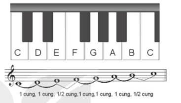Giáo án Âm nhạc 6 Kết nối tri thức Lí thuyết âm nhạc: Giới thiệu cung và nửa cung 