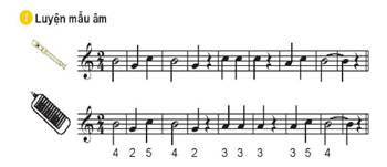 Giáo án Âm nhạc 6 Kết nối tri thức Nhạc cụ: Recorder hoặc kèn phím trang 64 