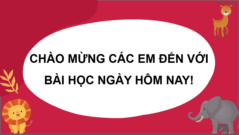 Giáo án điện tử Âm nhạc 6 Kết nối tri thức Đọc nhạc: Bài đọc nhạc số 3 | PPT Âm nhạc 6