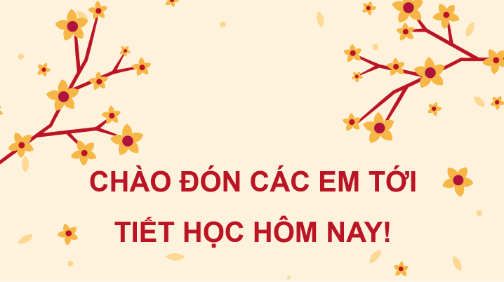 Giáo án điện tử Âm nhạc 8 Kết nối tri thức Thường thức âm nhạc: Nhạc sĩ Trần Hoàn và ca khúc Một mùa xuân nho nhỏ | PPT Âm nhạc 8