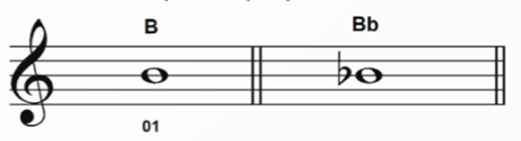 Giáo án Âm nhạc 9 Kết nối tri thức Nhạc cụ: Recorder hoặc kèn phím trang 35