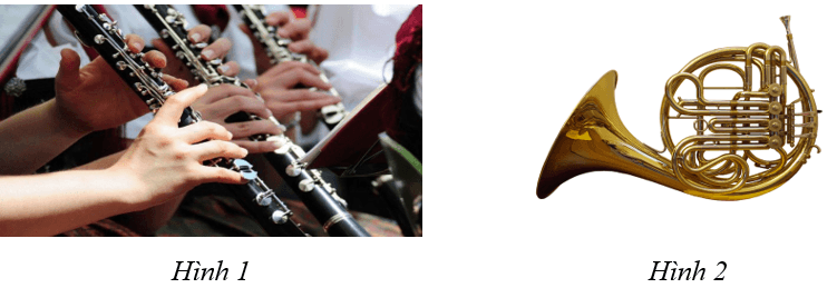 Giáo án Âm nhạc 9 Kết nối tri thức Thường thức âm nhạc: Kèn oboe và kèn cor