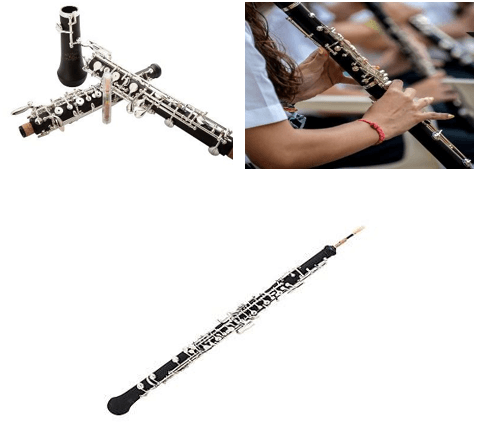 Giáo án Âm nhạc 9 Kết nối tri thức Thường thức âm nhạc: Kèn oboe và kèn cor
