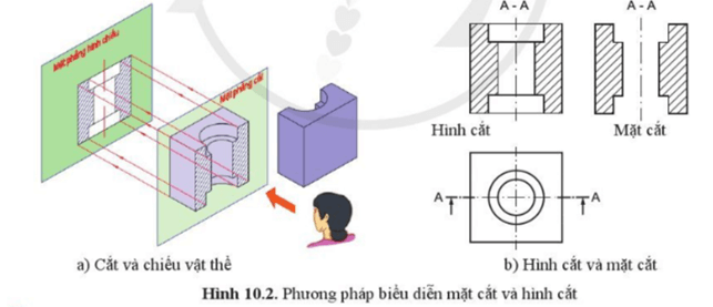 Giáo án Công nghệ 10 Cánh diều Bài 10: Mặt cắt và hình cắt