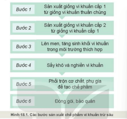 Giáo án Công nghệ 10 Kết nối tri thức Bài 18: Ứng dụng công nghệ vi sinh trong phòng trừ sâu, bệnh hại cây trồng