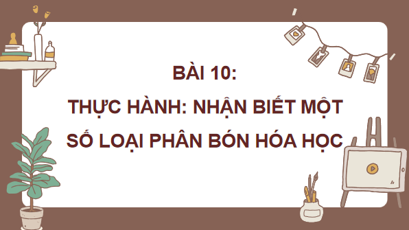 Giáo án điện tử Công nghệ 10 Kết nối tri thức Bài 10: Thực hành: Nhận biết một số loại phân bón hoá học | PPT Công nghệ 10