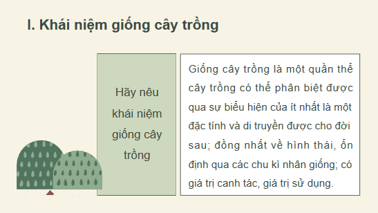 Giáo án điện tử Công nghệ 10 Kết nối tri thức Bài 11: Khái niệm và vai trò của giống cây trồng | PPT Công nghệ 10