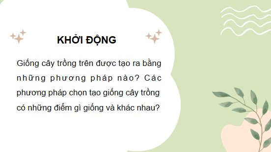 Giáo án điện tử Công nghệ 10 Kết nối tri thức Bài 12: Một số phương pháp chọn, tạo giống cây trồng | PPT Công nghệ 10