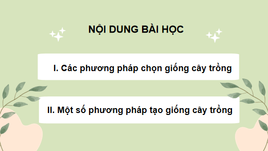 Giáo án điện tử Công nghệ 10 Kết nối tri thức Bài 12: Một số phương pháp chọn, tạo giống cây trồng | PPT Công nghệ 10
