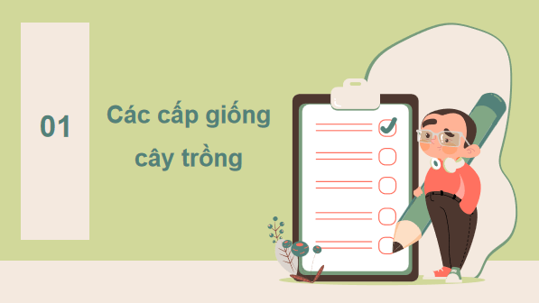 Giáo án điện tử Công nghệ 10 Kết nối tri thức Bài 13: Nhân giống cây trồng | PPT Công nghệ 10