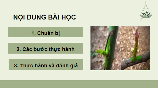 Giáo án điện tử Công nghệ 10 Kết nối tri thức Bài 14: Thực hành: Nhân giống cây ăn quả bằng phương pháp ghép | PPT Công nghệ 10
