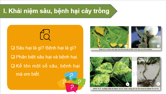 Giáo án điện tử Công nghệ 10 Kết nối tri thức Bài 15: Sâu, bệnh hại cây trồng và ý nghĩa của việc phòng trừ | PPT Công nghệ 10
