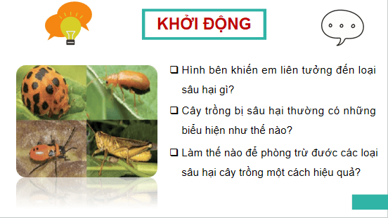 Giáo án điện tử Công nghệ 10 Kết nối tri thức Bài 16: Một số hại cây trồng thường gặp và biện pháp phòng trừ | PPT Công nghệ 10