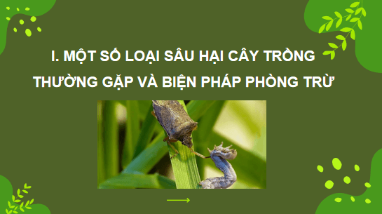 Giáo án điện tử Công nghệ 10 Kết nối tri thức Bài 16: Một số hại cây trồng thường gặp và biện pháp phòng trừ | PPT Công nghệ 10